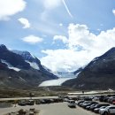 제스퍼(JASPER) 이미지