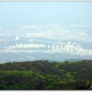 대관령축산 이미지