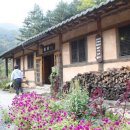 고요산책 이미지