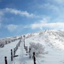 (주)우정 이미지