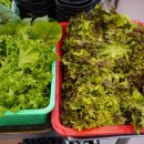 무거동숯불갈비 이미지