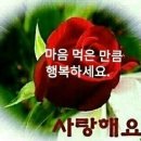 멋진하루 이미지