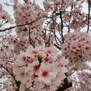 현대로1029번길 이미지