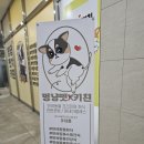 멍냥펫키친