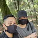 11650-16-8-2 이미지