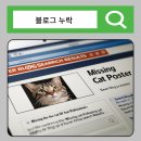 블로그 포스팅 누락 수정 해결 후기