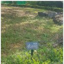 모롱지공원 이미지