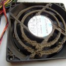 성호동010 이미지