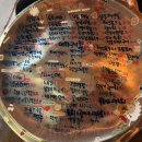 부평우체국 | 부평 노포 가성비술집 부평포차 방문후기