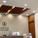 아티스성형외과의원 이미지