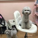쭈자매공방