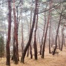 대야펜션 이미지