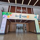 한창꽃조경 | [대구 6월 가볼만한 곳]고품격의 흥미로운 엑스코 동관 제17회 대구꽃박람회 프리오픈 방문 후기