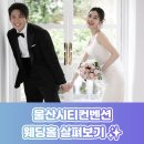 울산시티컨벤션 | 울산시티컨벤션 웨딩홀 비교 후기, 라움포레부터 수피아까지