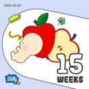 [임신일기] 임신 15주차 임신 증상 공유 임산부 캠핑 후기