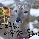 정떡 - 수원시 영통구 매탄로204번길 31 | 정떡