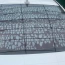 카솔루션 | [반여동 레인보우 카솔루션] 후면 썬팅 후기