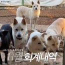 2024년 11월 회계내역 이미지