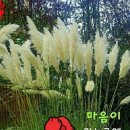 현대커피호프 티스토리