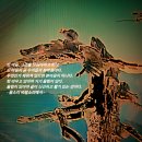 창영농원 이미지