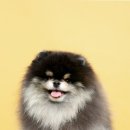 좋은날사진관