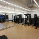 정석리파인 이미지