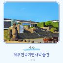 민속자연사 박물관 | 제주도 여자 혼자 뚜벅이 실내 가볼만한곳 제주민속자연사박물관