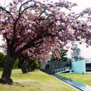 유엔기념공원주차장 이미지