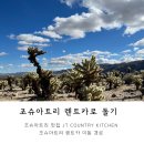 미국 여행 조슈아트리 맛집 JT kitchen, 조슈아트리공원 이동경로 볼거리