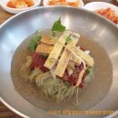 한올면옥 영대점 | 경산 맛집 영대 한올면옥 냉면 물비냉 갈비탕 후기 영남대