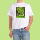 페스티발 이미지