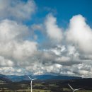 그린파워 이미지