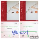 댕바라기 이미지