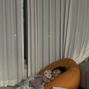 언니네 애견미용실 | 12월 : 참된 블로거의 생활