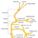 맑은하루신경과의원 이미지