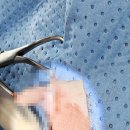 해운대조은동물병원 이미지