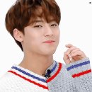 금빛돼지 이미지