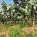 풍경을 요리하는 농부 이미지