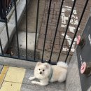 한샘다방 이미지