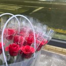 더행복요양병원 | [RN/웨이팅게일] 요양병원에서 일하는 입사대기간호사