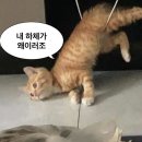 패러다임 짐 이미지