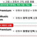 유튜브 프리미엄 라이트 출시 예정 이미지