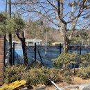 중구테니스장 이미지