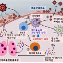 NR-1[통일로]-상-738 | 미토콘드리아 활성화에 의한 COVID-19 중증화 예방(2): 에너지위기