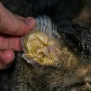 새로이동물병원 이미지