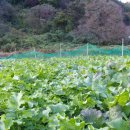 종점농장 이미지