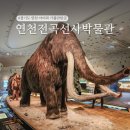 연천전곡전곡함-6 | 연천 전곡 선사박물관 경기도 근교 여행지