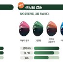햇빛안경 네이버블로그