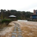 골든힐폼 이미지