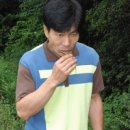 태백산식품